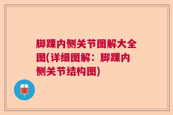 脚踝内侧关节图解大全图(详细图解:脚踝内侧关节结构图)