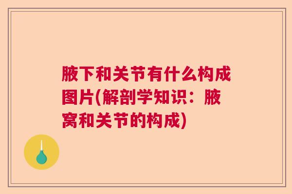 腋下和关节有什么构成图片(解剖学知识：腋窝和关节的构成)