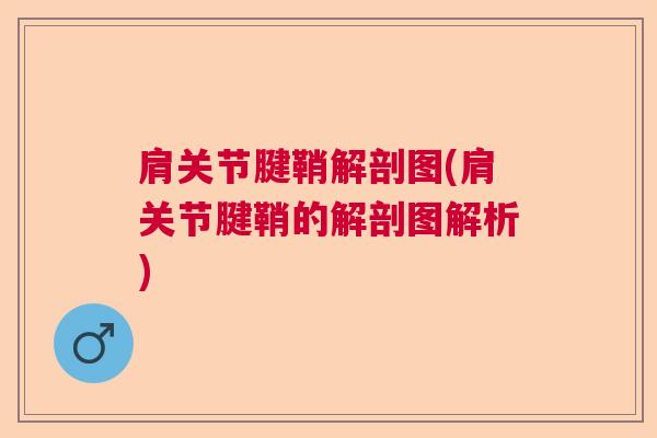 肩关节腱鞘解剖图(肩关节腱鞘的解剖图解析) 肩关节腱鞘解剖图(肩关节腱鞘的解剖图解析)