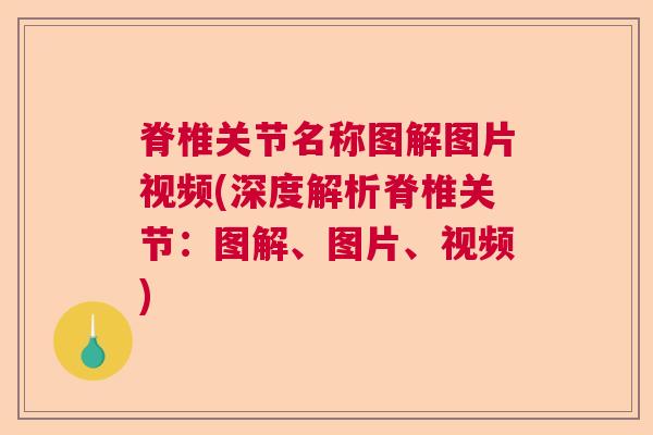 脊椎关节名称图解图片视频(深度解析脊椎关节:图解、图片、视频)