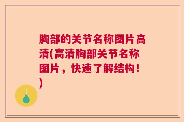 胸部的关节名称图片高清(高清胸部关节名称图片,快速了解结构!) 胸部的关节名称图片高清(高清胸部关节名称图片,快速了解结构!)
