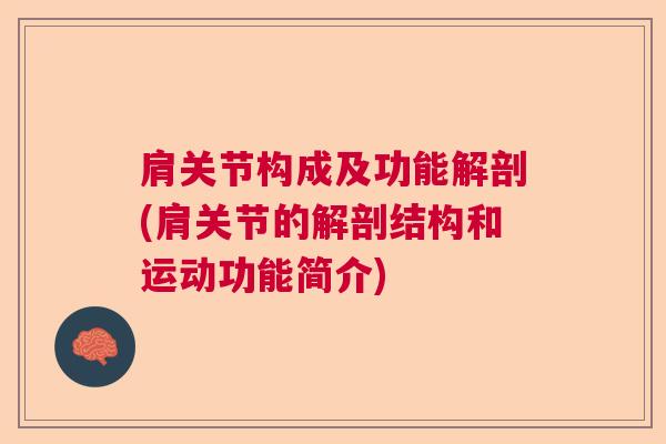 肩关节构成及功能解剖(肩关节的解剖结构和运动功能简介)