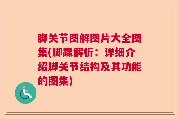脚关节图解图片大全图集(脚踝解析:详细介绍脚关节结构及其功能的图集) 脚关节图解图片大全图集(脚踝解析:详细介绍脚关节结构及其功能的图集)