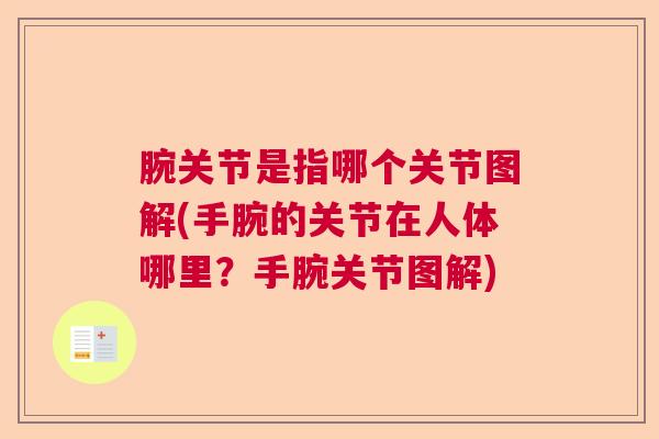 腕关节是指哪个关节图解(手腕的关节在人体哪里?手腕关节图解) 腕关节是指哪个关节图解(手腕的关节在人体哪里?手腕关节图解)