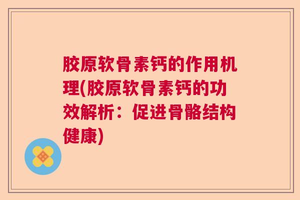 胶原软骨素钙的作用机理(胶原软骨素钙的功效解析：促进骨骼结构健康)
