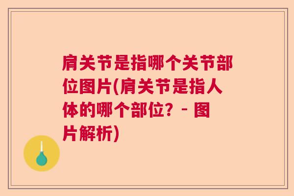 肩关节是指哪个关节部位图片(肩关节是指人体的哪个部位？- 图片解析)