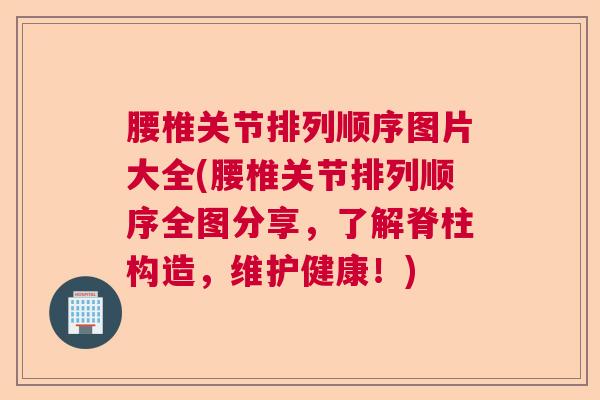 腰椎关节排列顺序图片大全(腰椎关节排列顺序全图分享，了解脊柱构造，维护健康！)