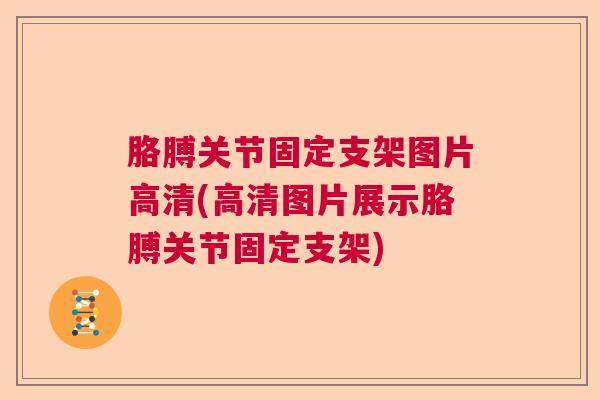 胳膊关节固定支架图片高清(高清图片展示胳膊关节固定支架)