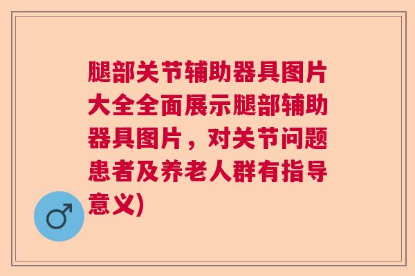 腿部关节辅助器具图片大全全面展示腿部辅助器具图片，对关节问题患者及养老人群有指导意义)