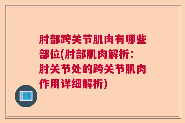 肘部跨关节肌肉有哪些部位(肘部肌肉解析：肘关节处的跨关节肌肉作用详细解析)