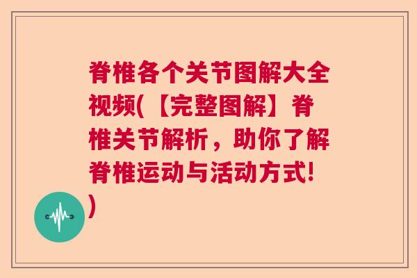 脊椎各个关节图解大全视频(【完整图解】脊椎关节解析,助你了解脊椎运动与活动方式!)