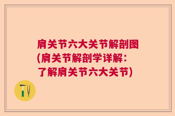 肩关节六大关节解剖图(肩关节解剖学详解：了解肩关节六大关节)