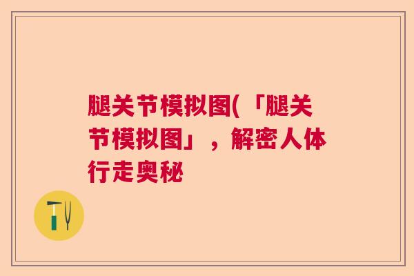 腿关节模拟图(「腿关节模拟图」,解密人体行走奥秘