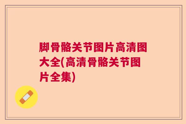 脚骨骼关节图片高清图大全(高清骨骼关节图片全集) 脚骨骼关节图片高清图大全(高清骨骼关节图片全集)