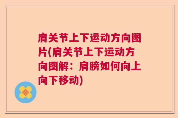 肩关节上下运动方向图片(肩关节上下运动方向图解：肩膀如何向上向下移动)