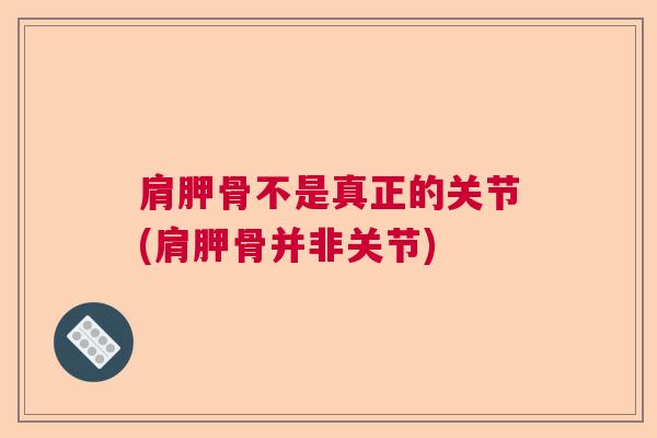 肩胛骨不是真正的关节(肩胛骨并非关节) 肩胛骨不是真正的关节(肩胛骨并非关节)