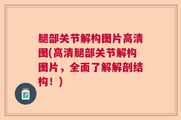 腿部关节解构图片高清图(高清腿部关节解构图片,全面了解解剖结构!)