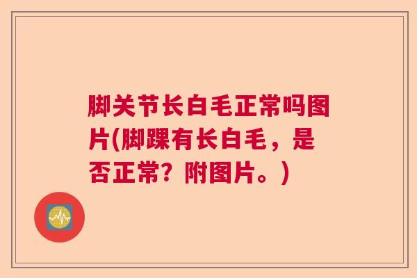 脚关节长白毛正常吗图片(脚踝有长白毛,是否正常?附图片。)