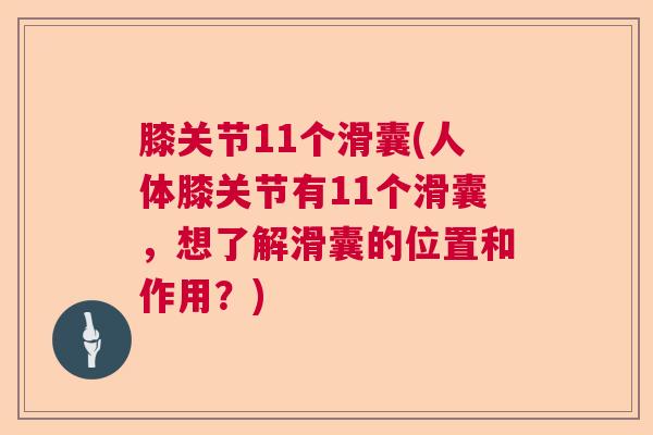 膝关节11个滑囊(人体膝关节有11个滑囊，想了解滑囊的位置和作用？)