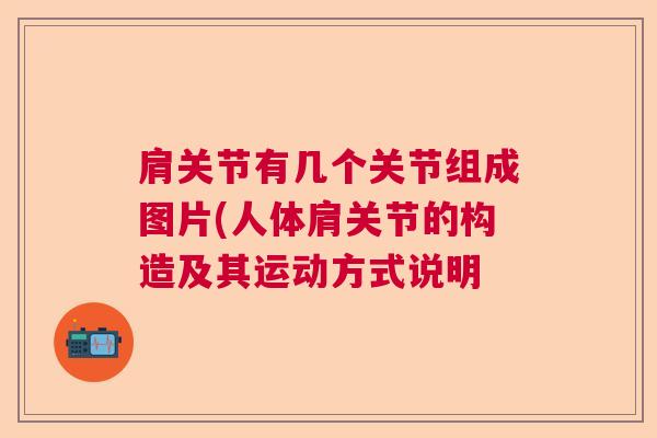 肩关节有几个关节组成图片(人体肩关节的构造及其运动方式说明 肩关节有几个关节组成图片(人体肩关节的构造及其运动方式说明