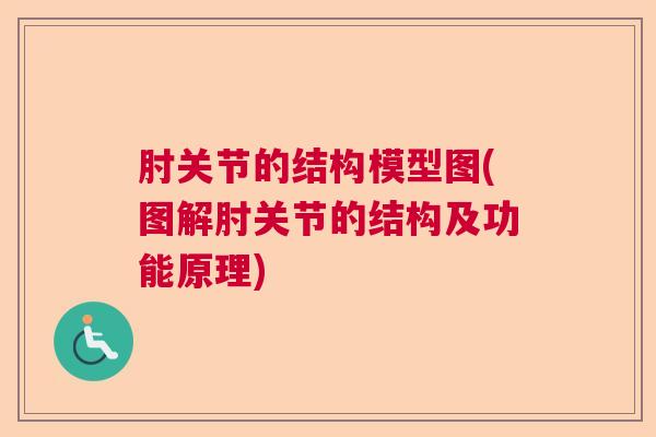肘关节的结构模型图(图解肘关节的结构及功能原理)