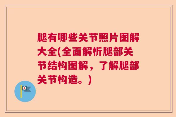 腿有哪些关节照片图解大全(全面解析腿部关节结构图解,了解腿部关节构造。)