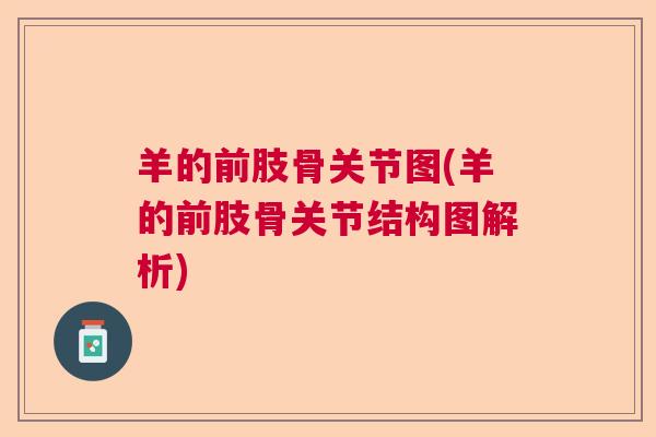羊的前肢骨关节图(羊的前肢骨关节结构图解析)