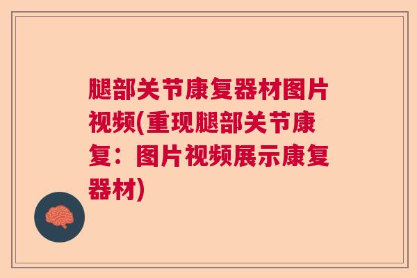 腿部关节康复器材图片视频(重现腿部关节康复:图片视频展示康复器材)