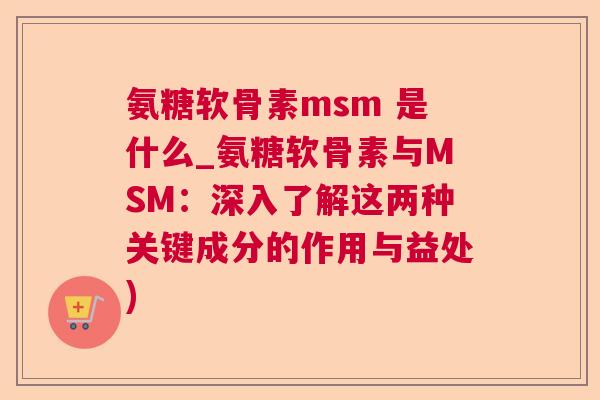 氨糖软骨素msm 是什么_氨糖软骨素与MSM:深入了解这两种关键成分的作用与益处)