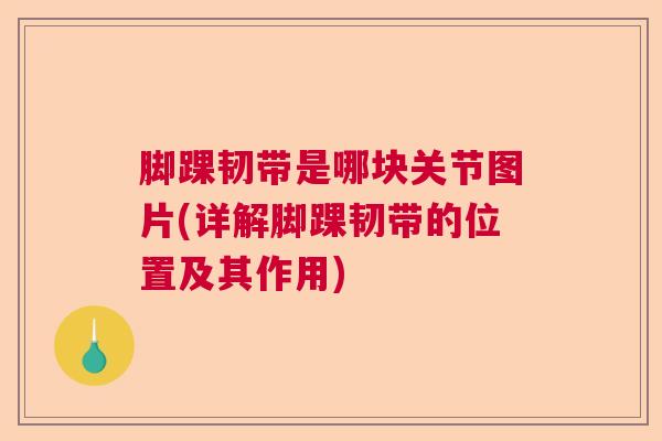 脚踝韧带是哪块关节图片(详解脚踝韧带的位置及其作用) 脚踝韧带是哪块关节图片(详解脚踝韧带的位置及其作用)