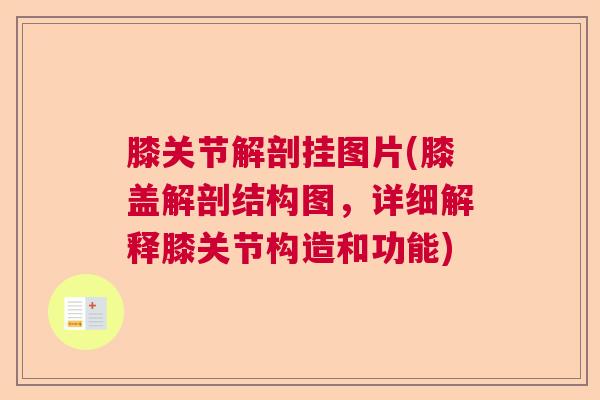 膝关节解剖挂图片(膝盖解剖结构图,详细解释膝关节构造和功能)