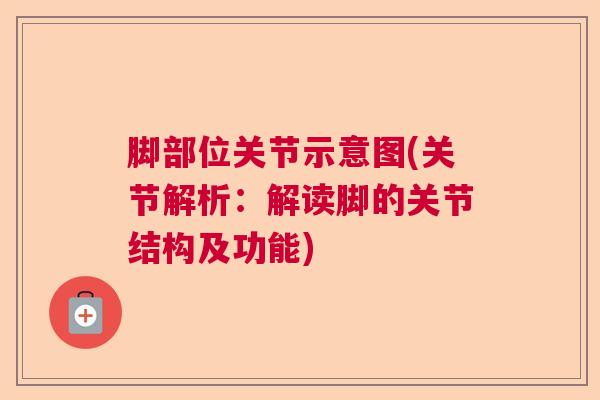 脚部位关节示意图(关节解析:解读脚的关节结构及功能)