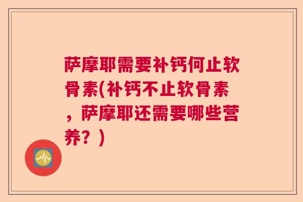 萨摩耶需要补钙何止软骨素(补钙不止软骨素，萨摩耶还需要哪些营养？)