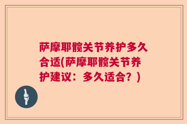 萨摩耶髋关节养护多久合适(萨摩耶髋关节养护建议:多久适合?) 萨摩耶髋关节养护多久合适(萨摩耶髋关节养护建议:多久适合?)