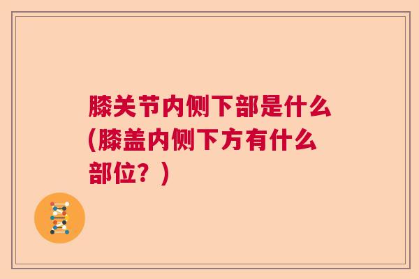 膝关节内侧下部是什么(膝盖内侧下方有什么部位?)