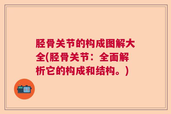 胫骨关节的构成图解大全(胫骨关节:全面解析它的构成和结构。)