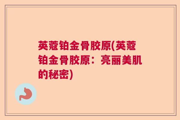 英蔻铂金骨胶原(英蔻铂金骨胶原：亮丽美肌的秘密)