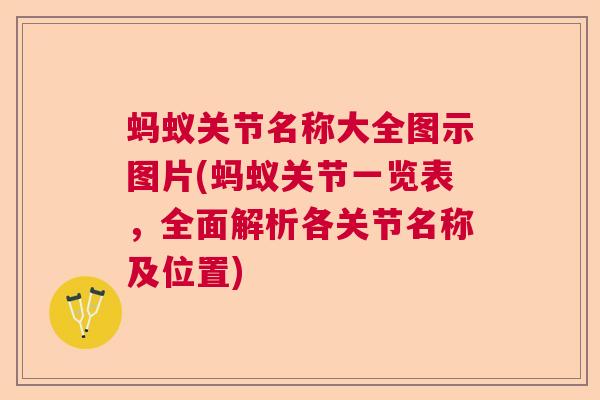 蚂蚁关节名称大全图示图片(蚂蚁关节一览表,全面解析各关节名称及位置) 蚂蚁关节名称大全图示图片(蚂蚁关节一览表,全面解析各关节名称及位置)