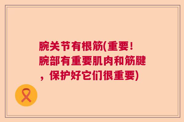 腕关节有根筋(重要！腕部有重要肌肉和筋腱，保护好它们很重要)
