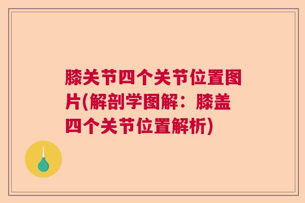 膝关节四个关节位置图片(解剖学图解：膝盖四个关节位置解析)