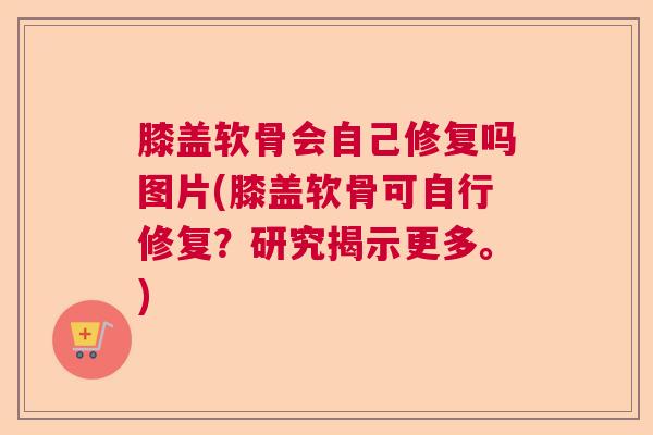 膝盖软骨会自己修复吗图片(膝盖软骨可自行修复?研究揭示更多。)