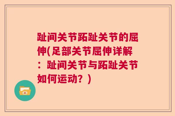 趾间关节跖趾关节的屈伸(足部关节屈伸详解：趾间关节与跖趾关节如何运动？)