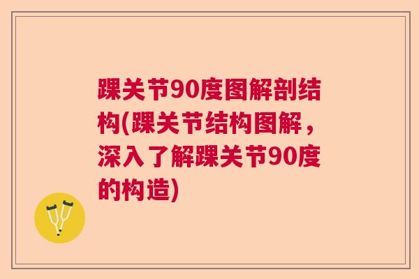 踝关节90度图解剖结构(踝关节结构图解，深入了解踝关节90度的构造)