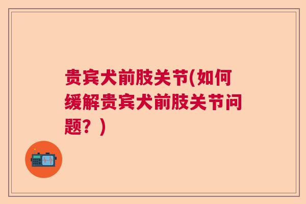 贵宾犬前肢关节(如何缓解贵宾犬前肢关节问题？)
