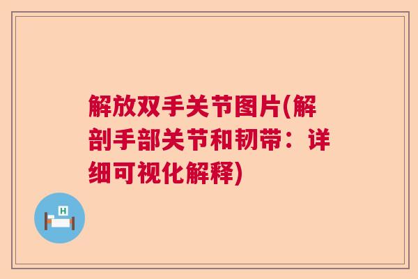 解放双手关节图片(解剖手部关节和韧带：详细可视化解释)