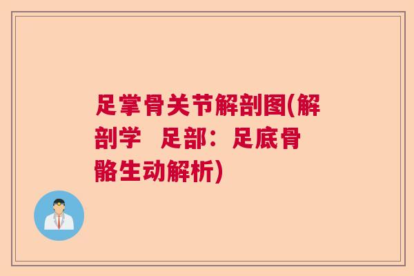 足掌骨关节解剖图(解剖学  足部：足底骨骼生动解析)