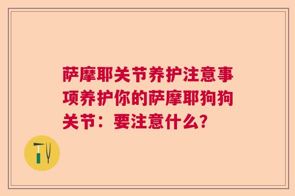 萨摩耶关节养护注意事项养护你的萨摩耶狗狗关节:要注意什么?