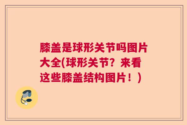 膝盖是球形关节吗图片大全(球形关节？来看这些膝盖结构图片！)