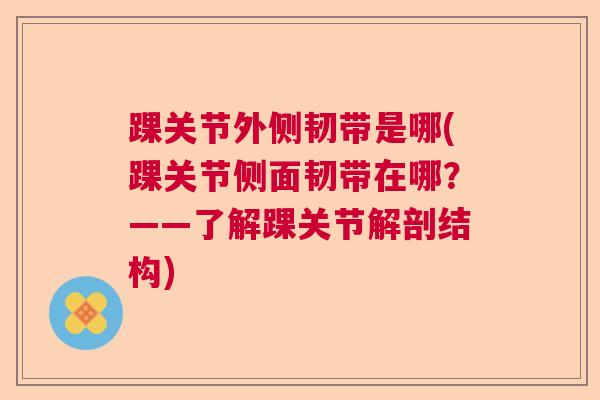 踝关节外侧韧带是哪(踝关节侧面韧带在哪?——了解踝关节解剖结构) 踝关节外侧韧带是哪(踝关节侧面韧带在哪?——了解踝关节解剖结构)