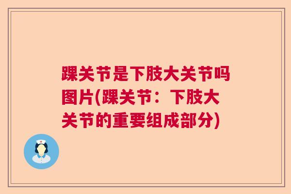踝关节是下肢大关节吗图片(踝关节：下肢大关节的重要组成部分)